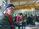 Le Mesnil-sur-Oger (51) : des touristes vendangeurs en Champagne