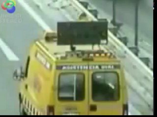 Selfless Dog Displays Amazing Altruism in Chile   Perrito Demuestra Impresionante Altruismo en Chile   YouTube