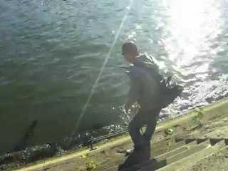 Barbus en Seine