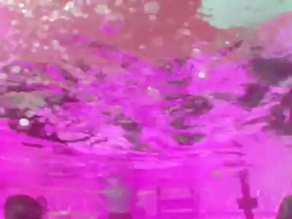 DANS LE KARTIER MAKING OF LA NOYADE