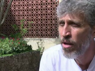 Risco de tubarões nas praias do Recife