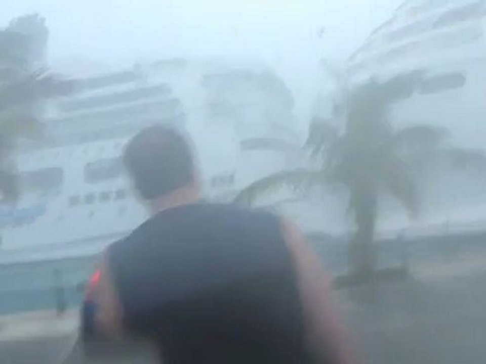 Cruise Crash