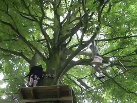 Étretat - accrobranches (10/13)