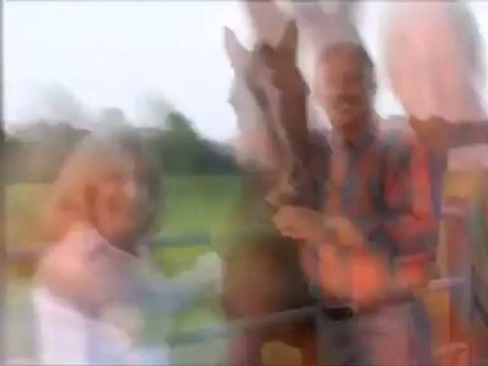 Pet Trust Services in Overland Park, KS & Oklahoma City, OK - Parman and Easterday