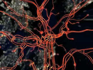 Musica Viva Festival 2012