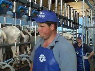 MOST KOYUN & KEÇİ SAĞIMHANE