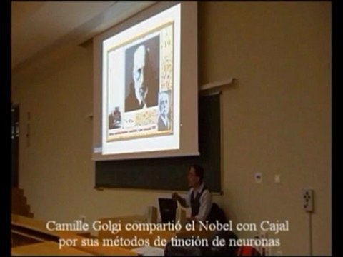 Audicion 05 Nervio auditivo - Prof Manuel Lafarga