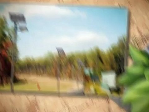 Solar Parking Lot Lighting