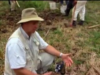 Técnicas agrícolas mayas en el Mirador, Guatemala