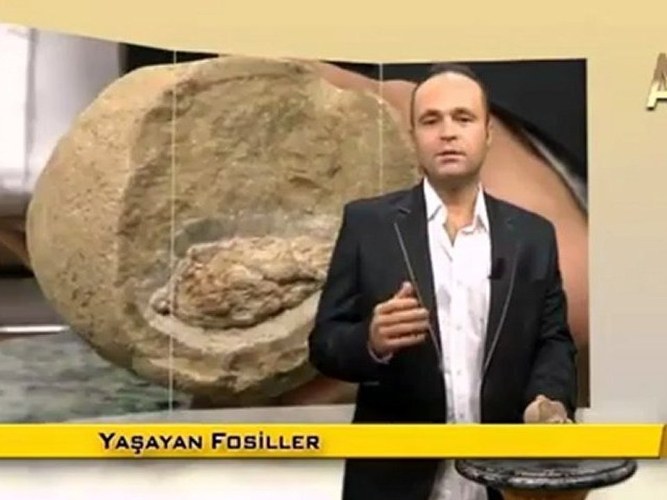 MİLYONLARCA YILDIR DEĞİŞMEYEN KOZALAKLAR