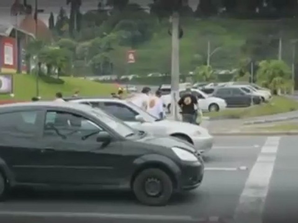 Crosswalk Guardians
