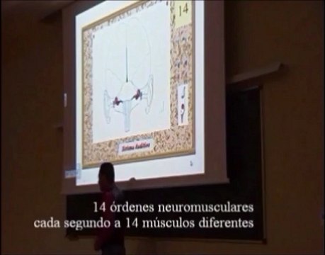 Neurologia 03 - La Orquesta Muscular - Prof Manuel Lafarga