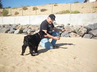 JEU de PLAGE pour KERMIT