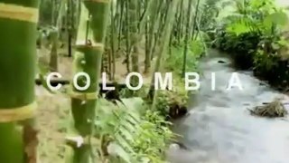 Best Hotels in Colombia | Cheap Hotels In Colombia