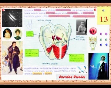 Neurologia 17 - Lenguaje las dos mitades del mundo - Prof Manuel Lafarga