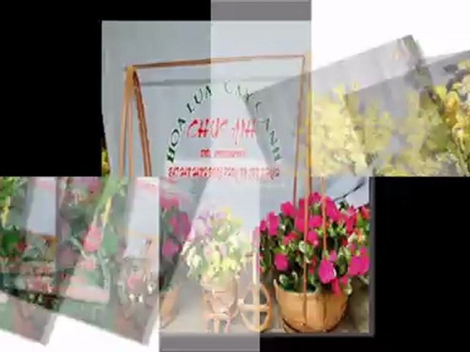 hoa cuoi