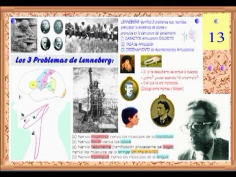 Neurologia 22 - Lenguaje los 3 problemas de Lenneberg - Prof Manuel Lafarga