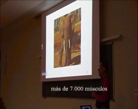 Neurologia 24 - Percepcion Haptica Alonzo Clemons - Prof Manuel Lafarga