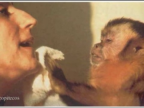 Origenes de la musica y el lenguaje 1 de 4 (2) - Prof Manuel Lafarga Part 2