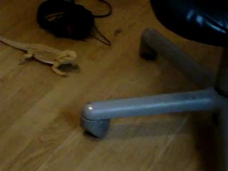 120927 danse de l amour