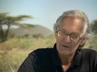 The Secret Life of Elephants-1