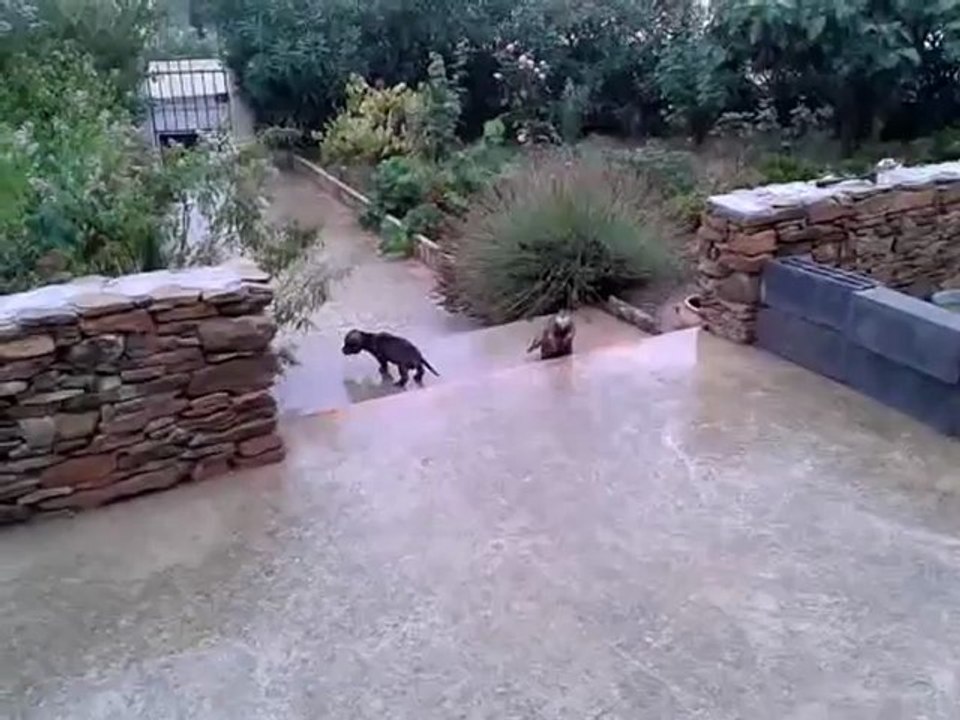 decouverte de la pluie 1