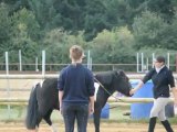 1er cours de poney