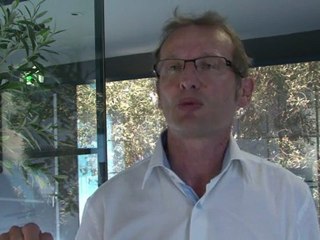 Pollution aux particules: "un problème de santé majeur", explique un expert