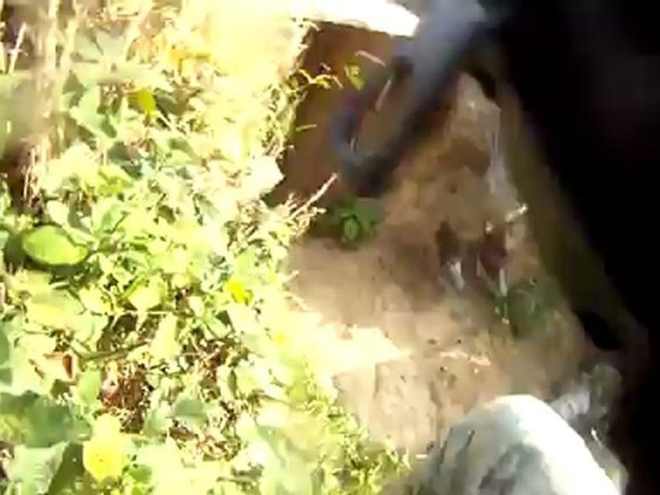 Fdp Paintball Special gamers