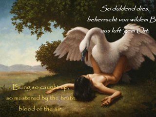 Leda & der Schwan - Leda & the Swan