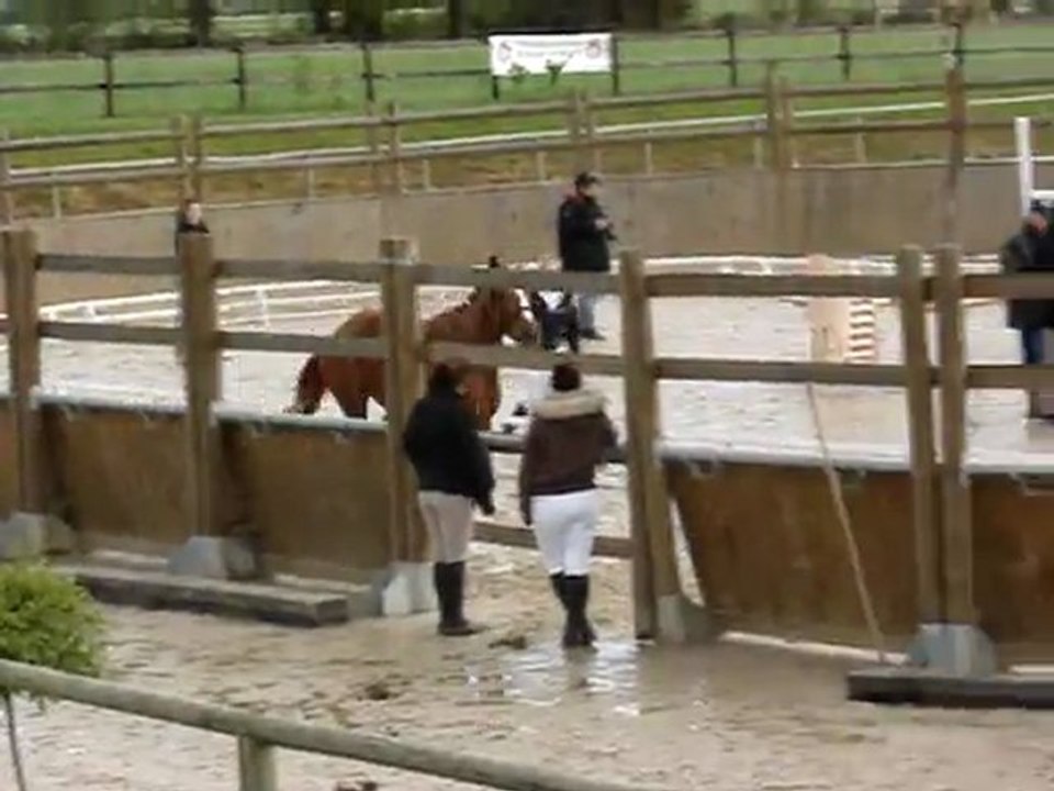 Rose présentation modele et allure  (saut)