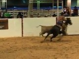 2012 AQHA Open Versatility Ranch Horse World Champion