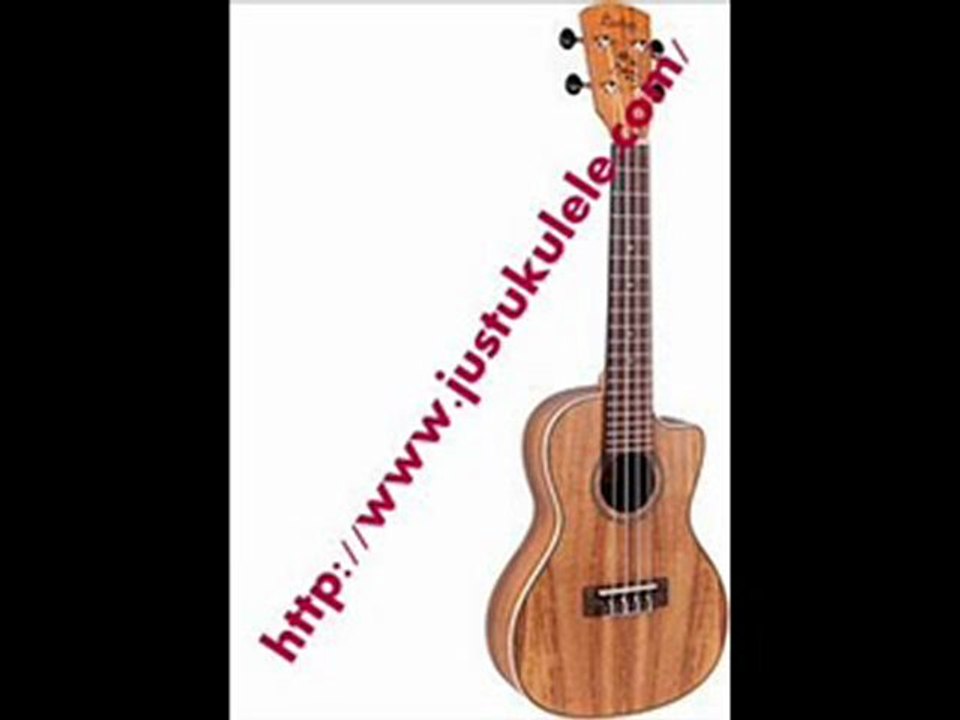 happy nevershoutnever ukulele chords