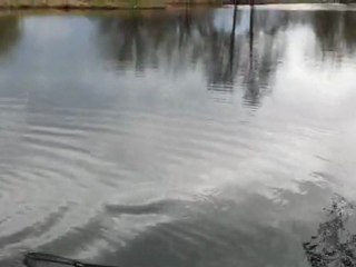 Petite pêche du mois de mars