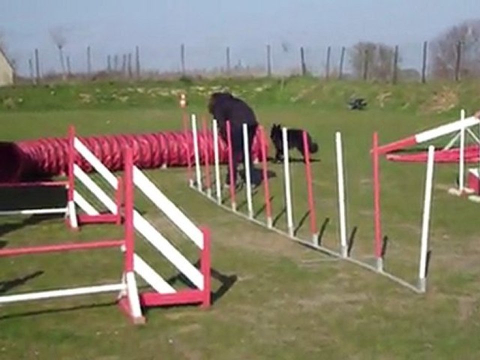 2012-03-21 agility diwitch