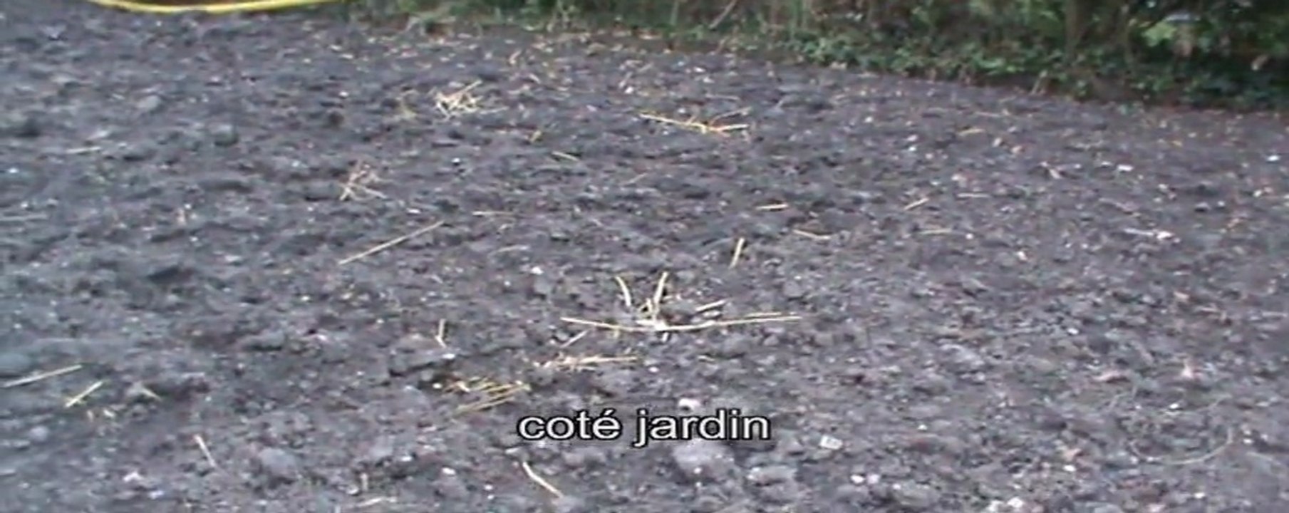jardinage
