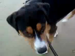 Vidéo-0018
