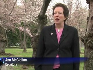 Un siglo de cerezos japoneses en Washington