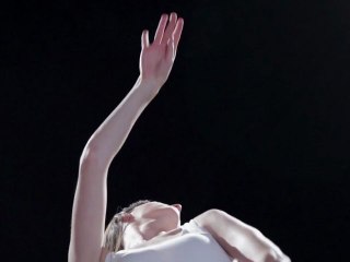 Lung Wine - Wild Dogs in Winter