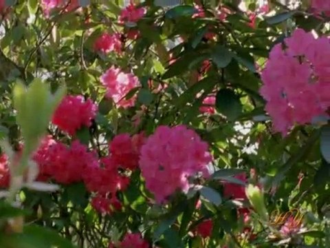 BEDİÜZZAMAN HAZRETLERİ HZ.MEHDİ'NİN HİCRİ 1400 DE GELECEĞİNİ BİLDİRMİŞTİR