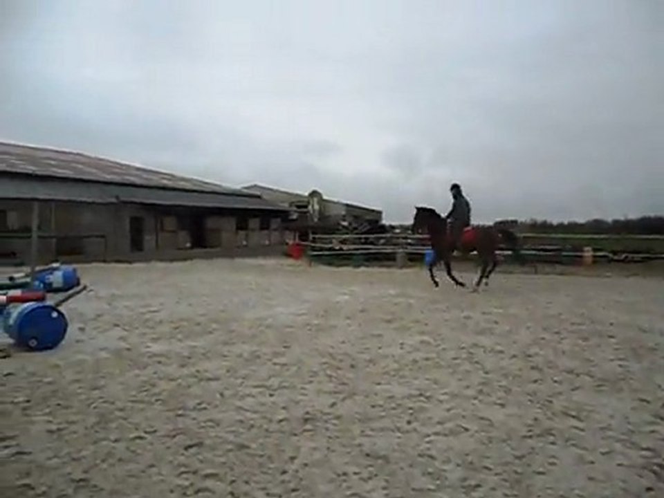 LULU MARS 2012 VIDEO3