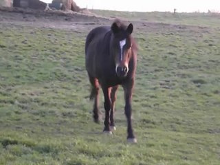 Tj qui vient à moi :)