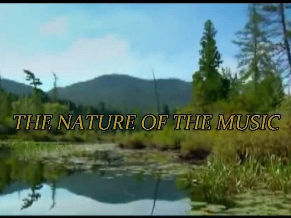THE NATURE OF THE MUSIC - C'est La Vie
