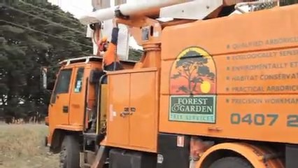 Lopping Warrnambool Forest & Garden Tree Services NSW