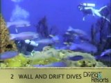 2012 World's Best Diving and Resorts Video: St Lucia