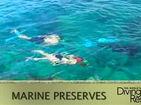 World's Best Diving and Resorts: Anse Chastanet in St. Lucia