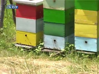 Selo moje, 09. septembar 2011.