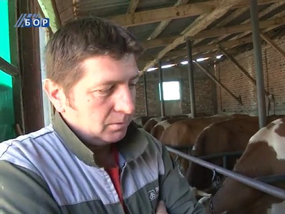 Selo moje, 21. oktobar 2011.