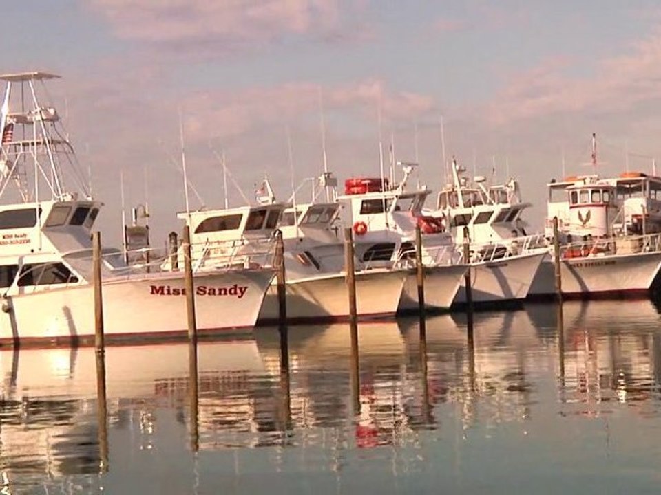 Sample Reel_1