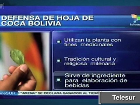 Evo Morales pide a la ONU legalizar el masticado de la hoja de coca .